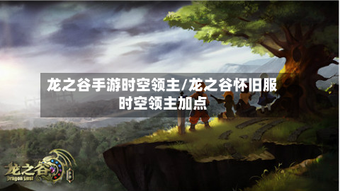 龙之谷手游时空领主/龙之谷怀旧服时空领主加点-第2张图片