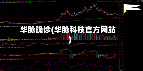 华脉确诊(华脉科技官方网站)-第3张图片