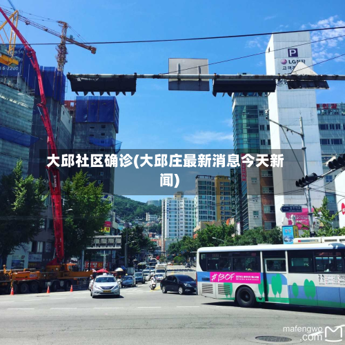 大邱社区确诊(大邱庄最新消息今天新闻)-第2张图片
