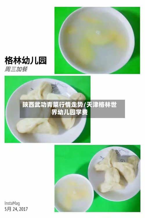 陕西武功青菜行情走势/天津格林世界幼儿园学费-第3张图片