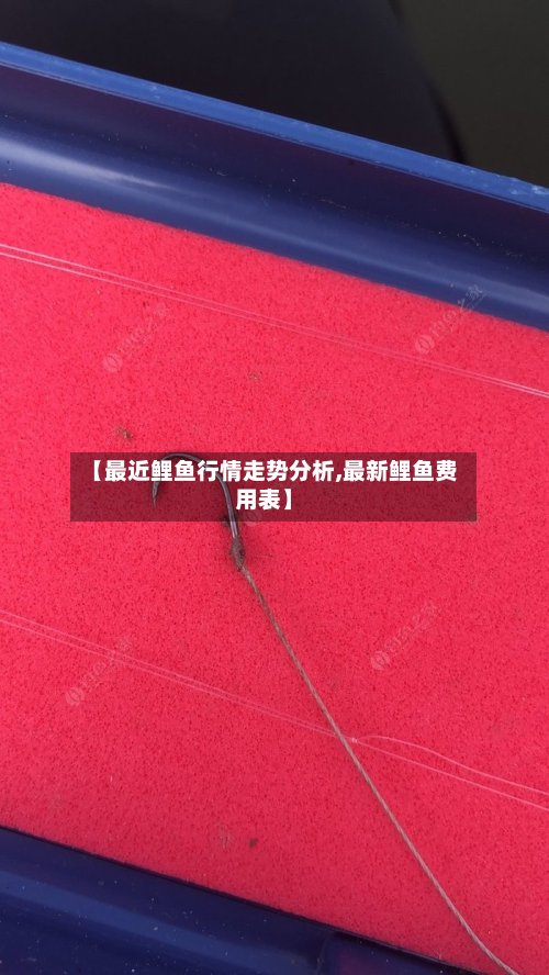 【最近鲤鱼行情走势分析,最新鲤鱼费用表】-第2张图片