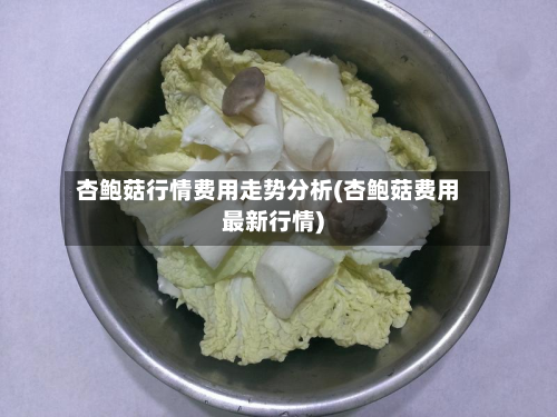 杏鲍菇行情费用走势分析(杏鲍菇费用最新行情)-第2张图片