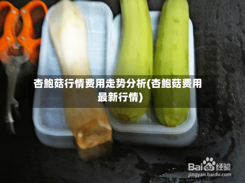 杏鲍菇行情费用走势分析(杏鲍菇费用最新行情)