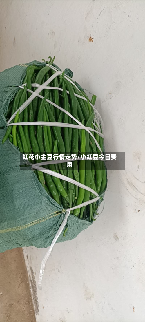 红花小金豆行情走势/小红豆今日费用-第3张图片