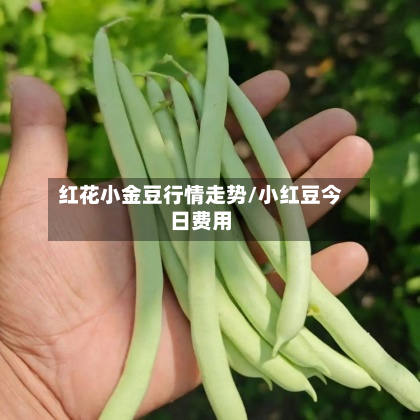 红花小金豆行情走势/小红豆今日费用-第2张图片