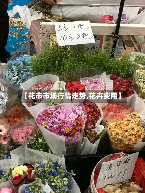 【花市市场行情走势,花卉费用】-第3张图片