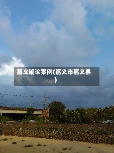 嘉义确诊案例(嘉义市嘉义县)
