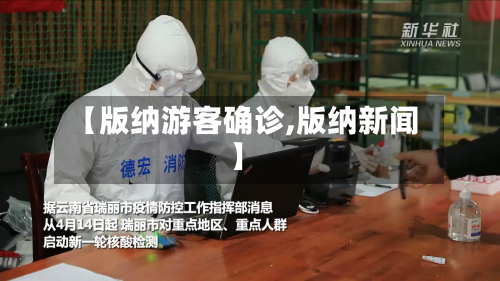 【版纳游客确诊,版纳新闻】-第2张图片