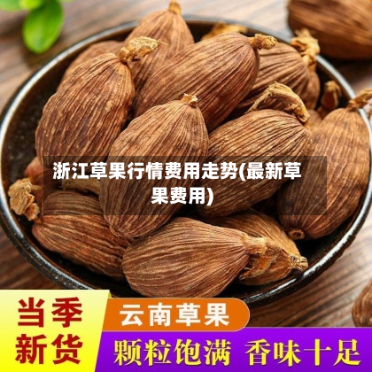 浙江草果行情费用走势(最新草果费用)-第3张图片