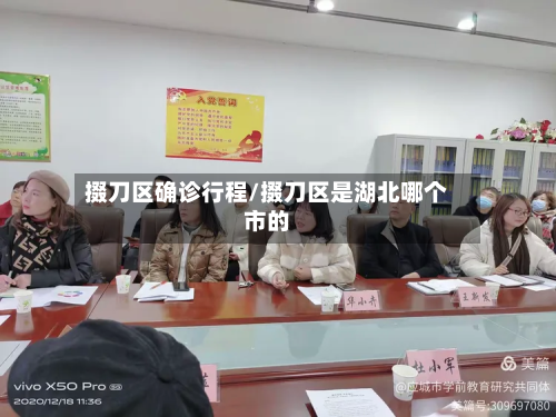 掇刀区确诊行程/掇刀区是湖北哪个市的-第2张图片