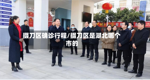 掇刀区确诊行程/掇刀区是湖北哪个市的