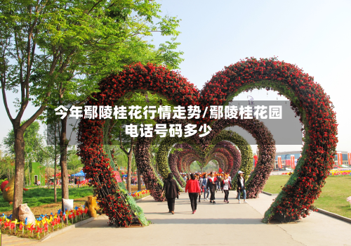 今年鄢陵桂花行情走势/鄢陵桂花园电话号码多少-第3张图片