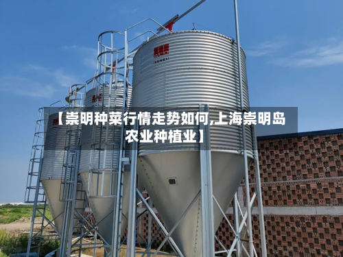 【崇明种菜行情走势如何,上海崇明岛农业种植业】-第2张图片