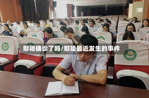 鄢陵确诊了吗/鄢陵最近发生的事件-第3张图片
