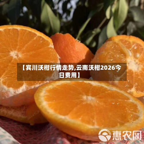 【宾川沃柑行情走势,云南沃柑2026今日费用】