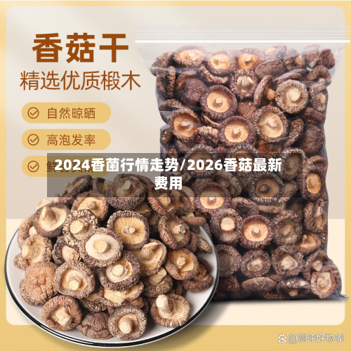 2024香菌行情走势/2026香菇最新费用