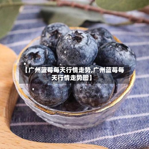 【广州蓝莓每天行情走势,广州蓝莓每天行情走势图】