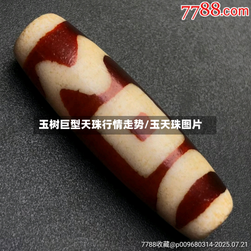 玉树巨型天珠行情走势/玉天珠图片-第3张图片