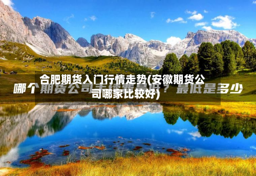 合肥期货入门行情走势(安徽期货公司哪家比较好)