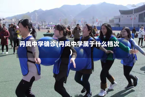 丹凤中学确诊(丹凤中学属于什么档次)-第3张图片