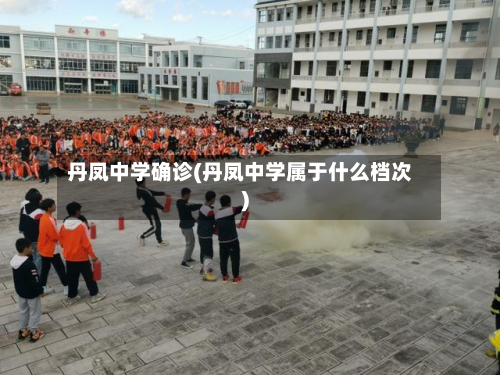 丹凤中学确诊(丹凤中学属于什么档次)-第2张图片