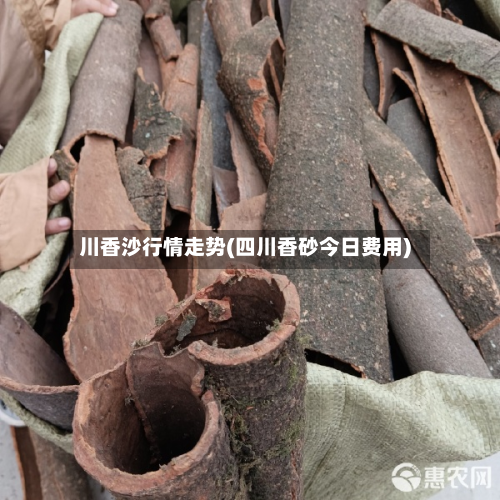 川香沙行情走势(四川香砂今日费用)-第2张图片
