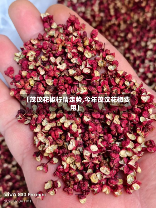 【茂汶花椒行情走势,今年茂汶花椒费用】-第3张图片