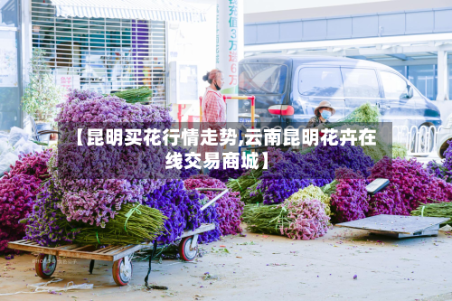 【昆明买花行情走势,云南昆明花卉在线交易商城】
