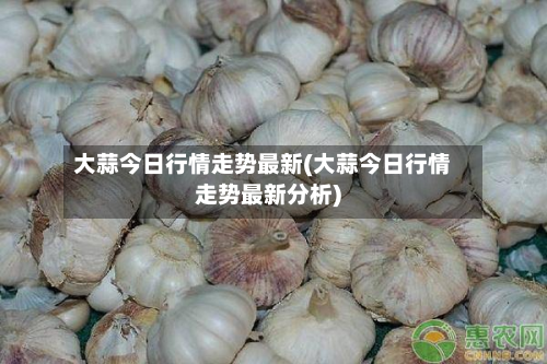 大蒜今日行情走势最新(大蒜今日行情走势最新分析)