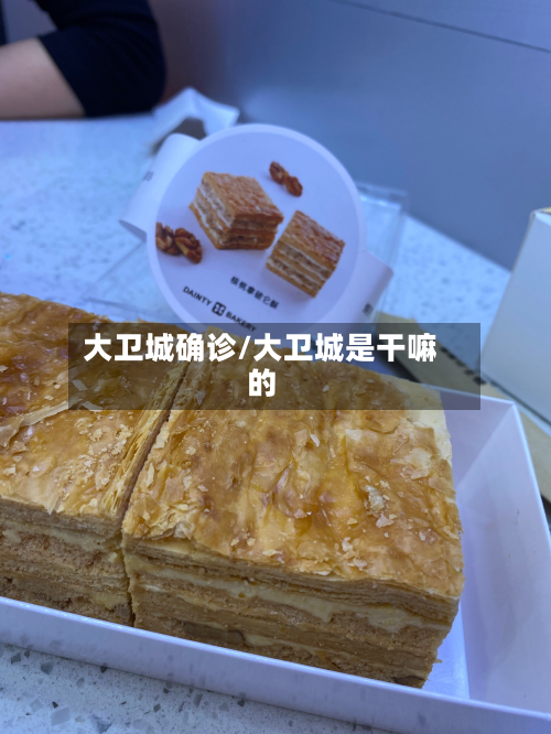 大卫城确诊/大卫城是干嘛的