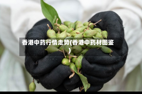香港中药行情走势(香港中药材图鉴)-第2张图片