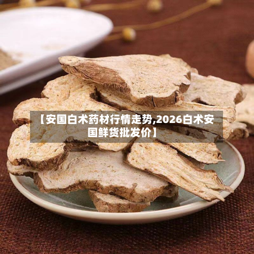 【安国白术药材行情走势,2026白术安国鲜货批发价】