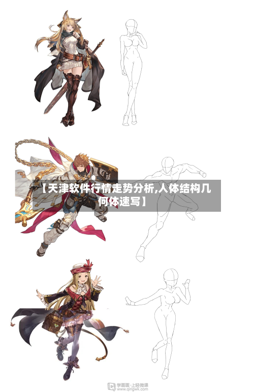 【天津软件行情走势分析,人体结构几何体速写】
