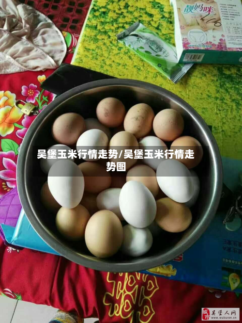 吴堡玉米行情走势/吴堡玉米行情走势图