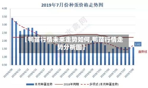 【鸭苗行情未来走势如何,鸭苗行情走势分析图】-第3张图片