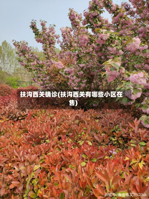 扶沟西关确诊(扶沟西关有哪些小区在售)