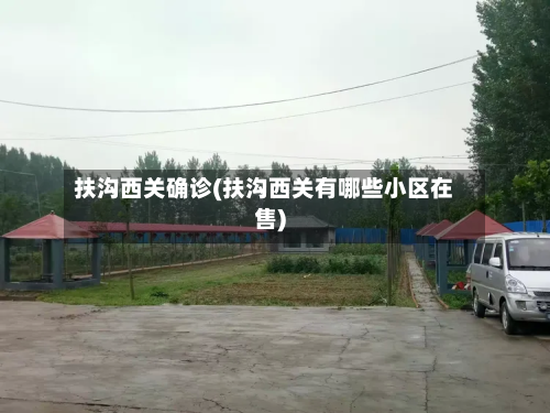 扶沟西关确诊(扶沟西关有哪些小区在售)-第2张图片