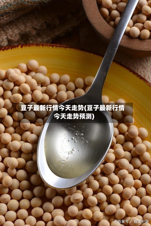 豆子最新行情今天走势(豆子最新行情今天走势预测)-第3张图片