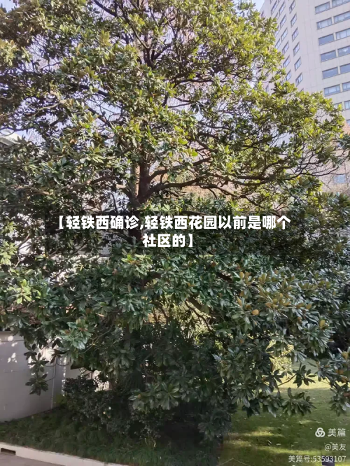 【轻铁西确诊,轻铁西花园以前是哪个社区的】