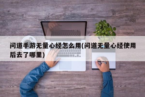 问道手游无量心经怎么用(问道无量心经使用后去了哪里)