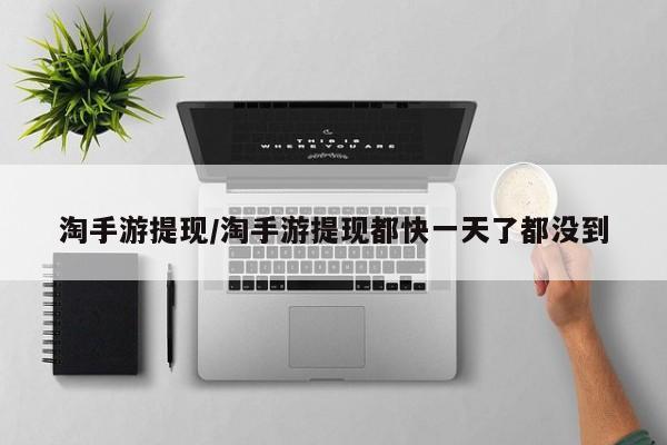 淘手游提现/淘手游提现都快一天了都没到