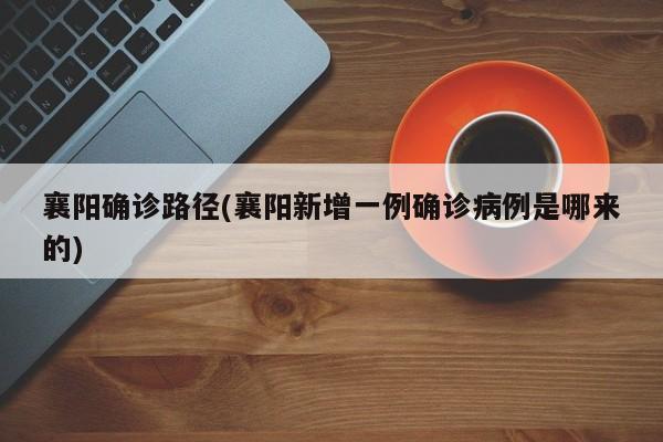 襄阳确诊路径(襄阳新增一例确诊病例是哪来的)