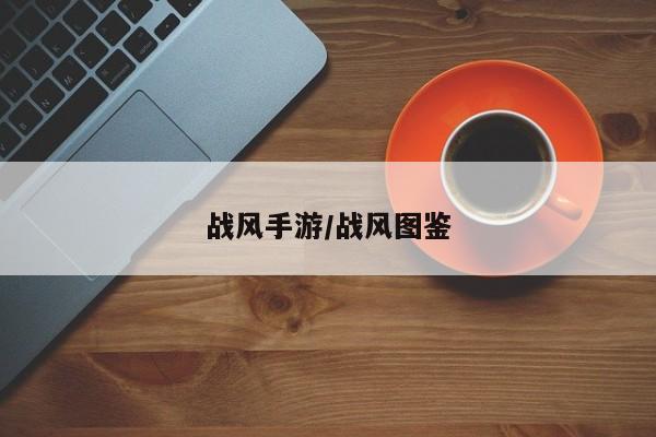 战风手游/战风图鉴