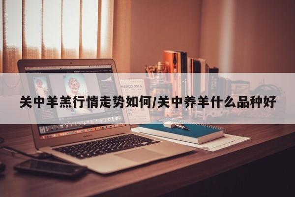 关中羊羔行情走势如何/关中养羊什么品种好
