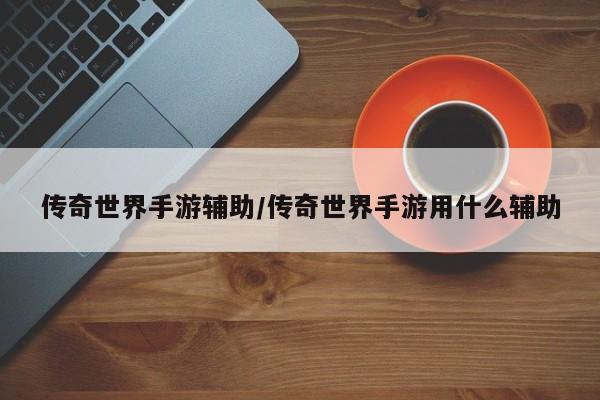 传奇世界手游辅助/传奇世界手游用什么辅助