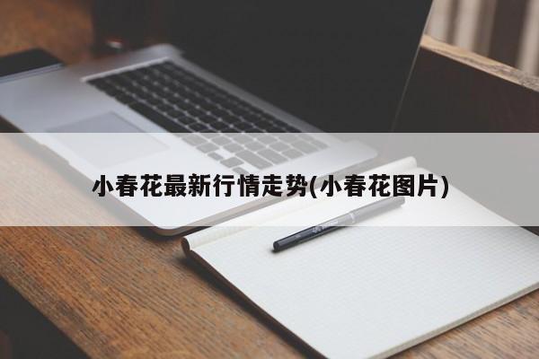 小春花最新行情走势(小春花图片)