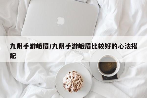 九阴手游峨眉/九阴手游峨眉比较好的心法搭配