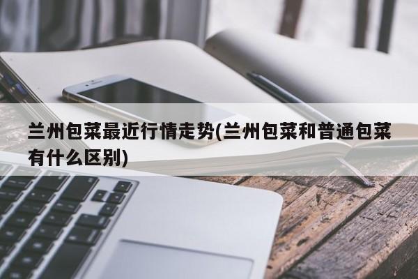 兰州包菜最近行情走势(兰州包菜和普通包菜有什么区别)