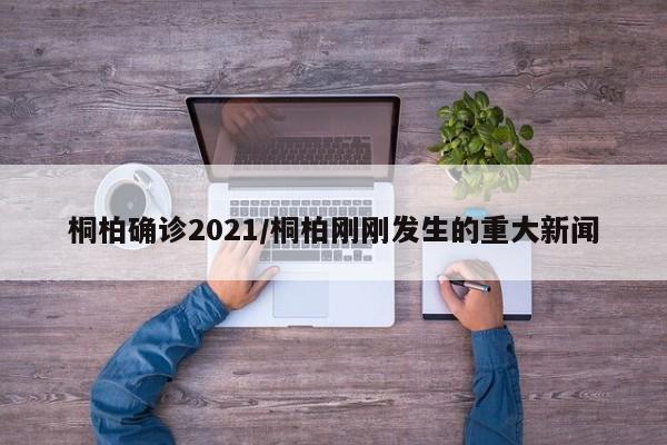 桐柏确诊2021/桐柏刚刚发生的重大新闻