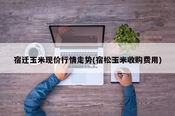 宿迁玉米现价行情走势(宿松玉米收购费用)